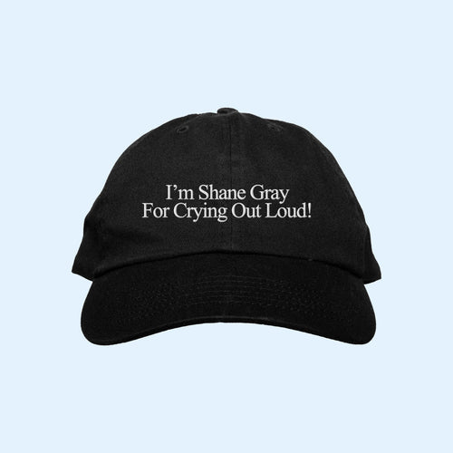Jonas Brothers Merch 2026 I'm Shane Gray For Crying Out Loud Hat Embroidered Gift For Fans