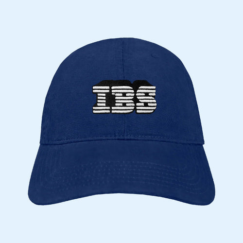 TWRP Merch 2026 IBS Dad Hat Embroidered Birthday Gift For Brother