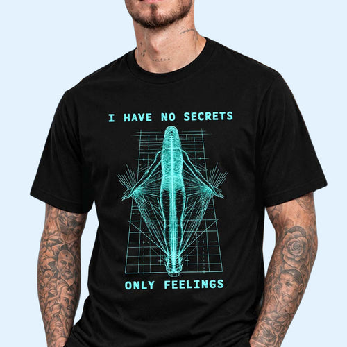 Phoebe Bridgers Merch The Lost Tour 2026 I Have No Secrets Only Feelings T-Shirt Gift For Fans