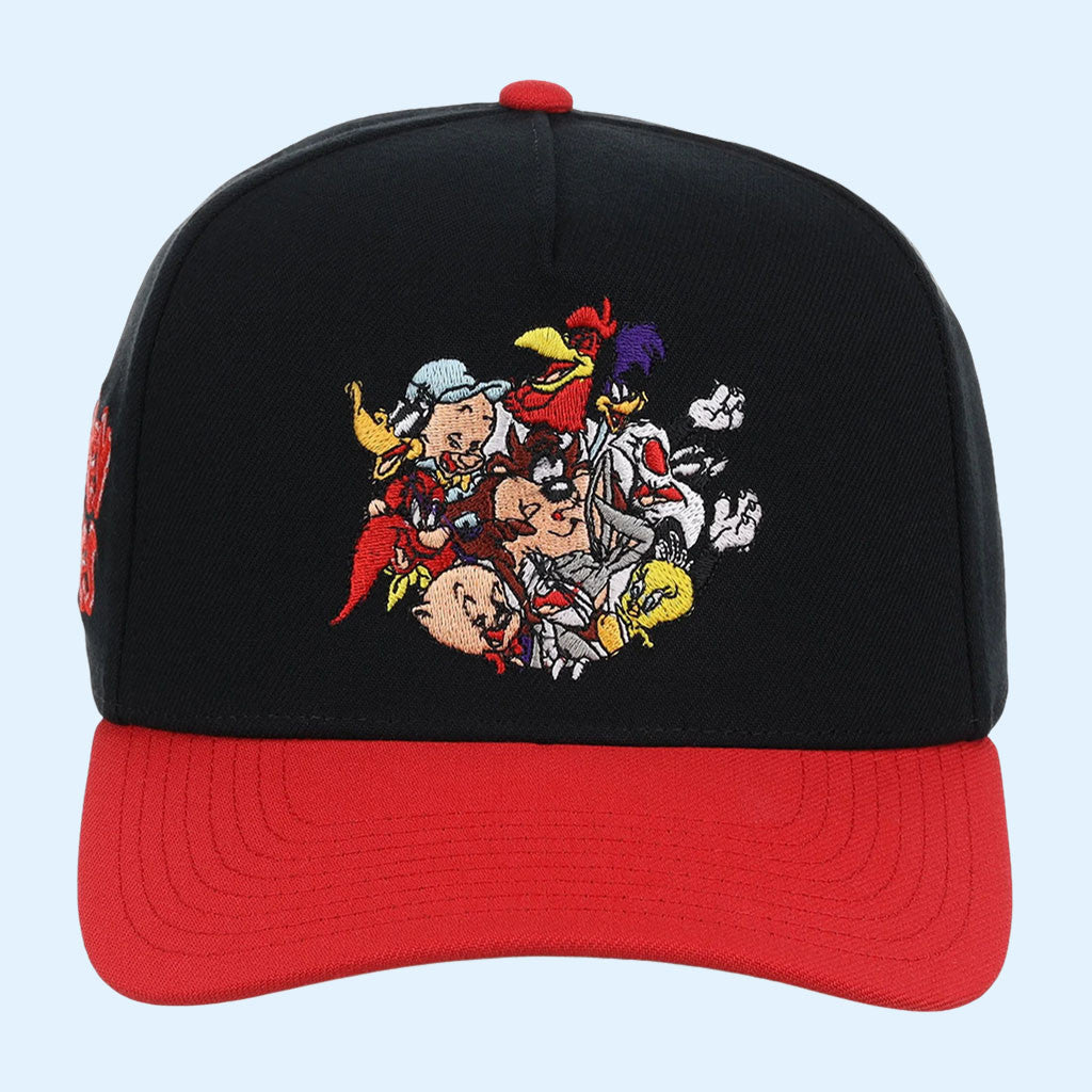 Lids Hat Drop Saturday Morning Cartoons The Cartoon Network Pack Merch Looney Tunes Hat