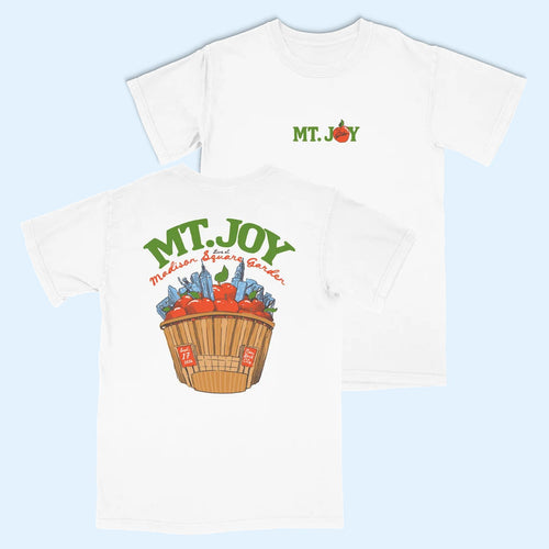 Mt Joy Merch 2026 Apples T-Shirt Mt Joy Tour Merch Present For Rock Band Fans