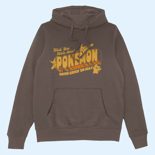 Pokemon Merch 2026 Gotta Catch 'Em All Hoodie Pokemon 30Th Anniversary Hoodie Gifts For Fans