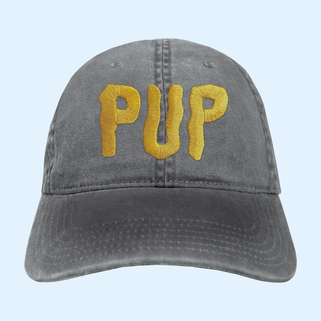 Pup The Band Merch 2026 PUP Morbid Stuff Logo Embroidered Hat Gift For Rock Fans